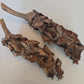 Palm Blossom Stalk - IHEARTBUGS, INC.