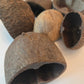 Palm Pods - IHEARTBUGS, INC.