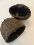 Palm Pods - IHEARTBUGS, INC.