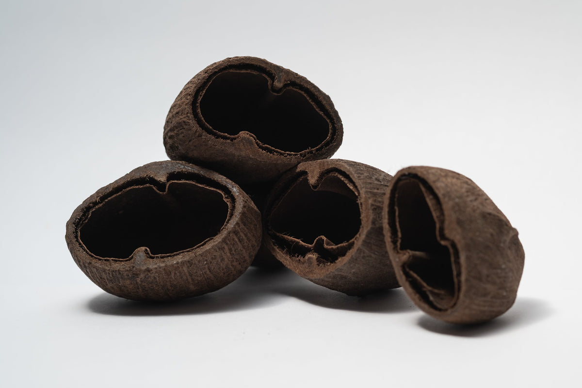 Palm Pods - IHEARTBUGS, INC.