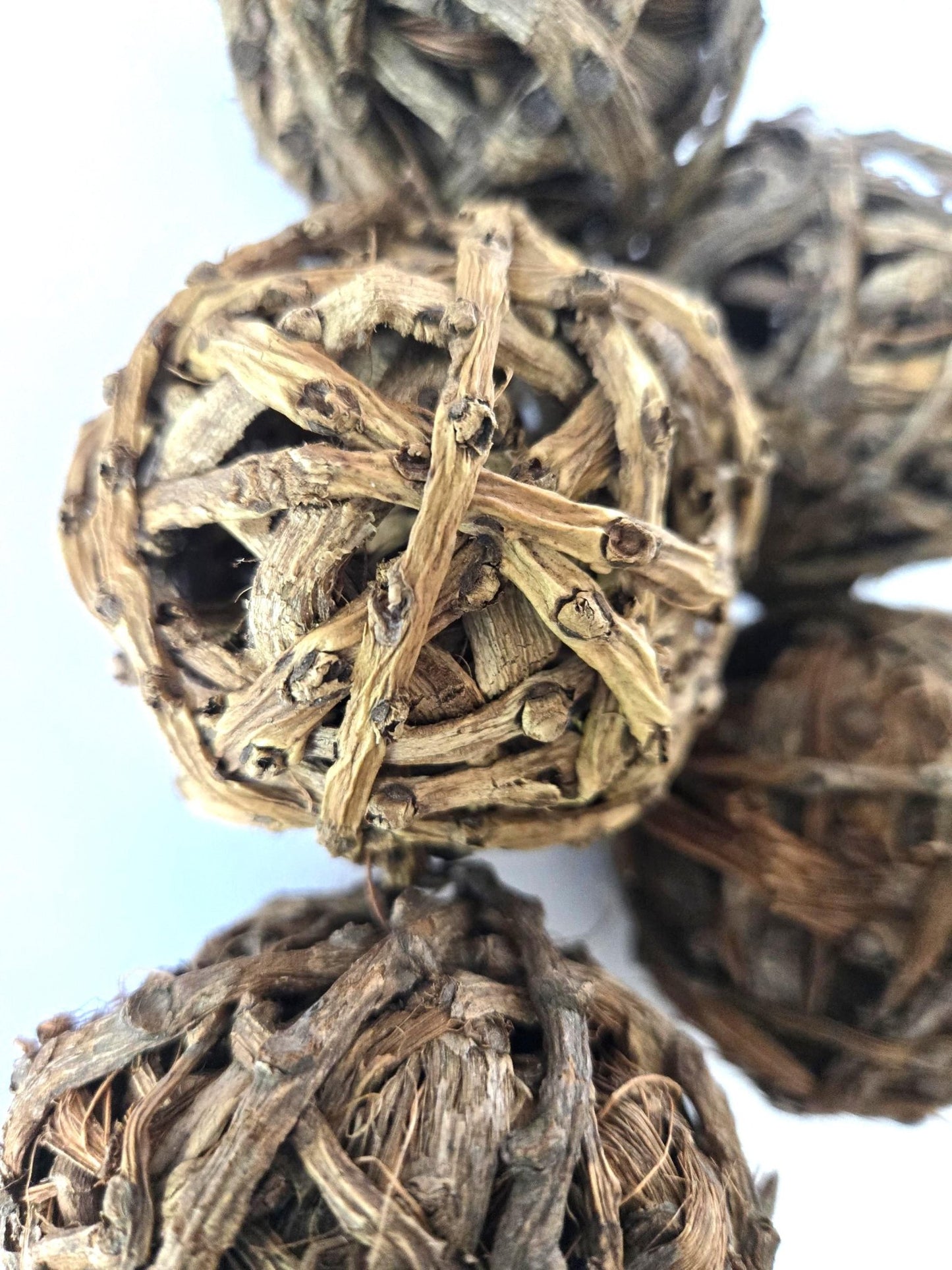 Palm Tail Ball - IHEARTBUGS, INC.