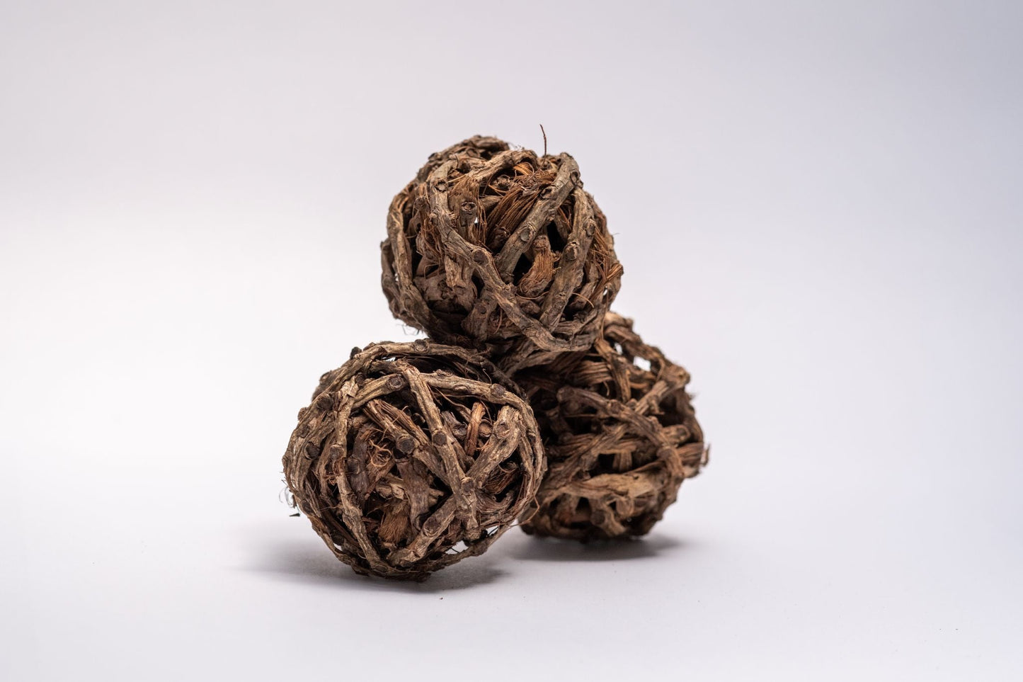 Palm Tail Ball - IHEARTBUGS, INC.