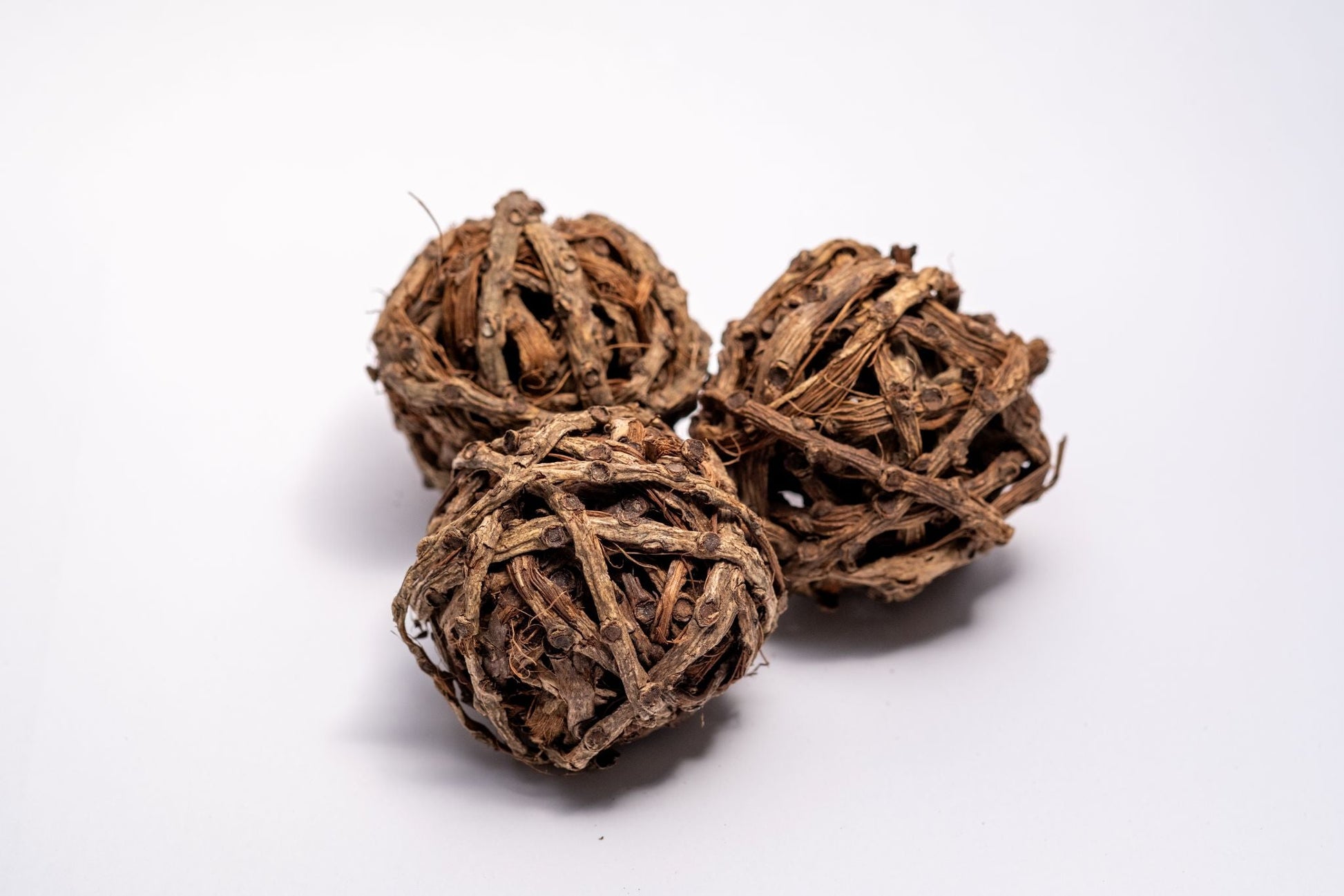 Palm Tail Ball - IHEARTBUGS, INC.