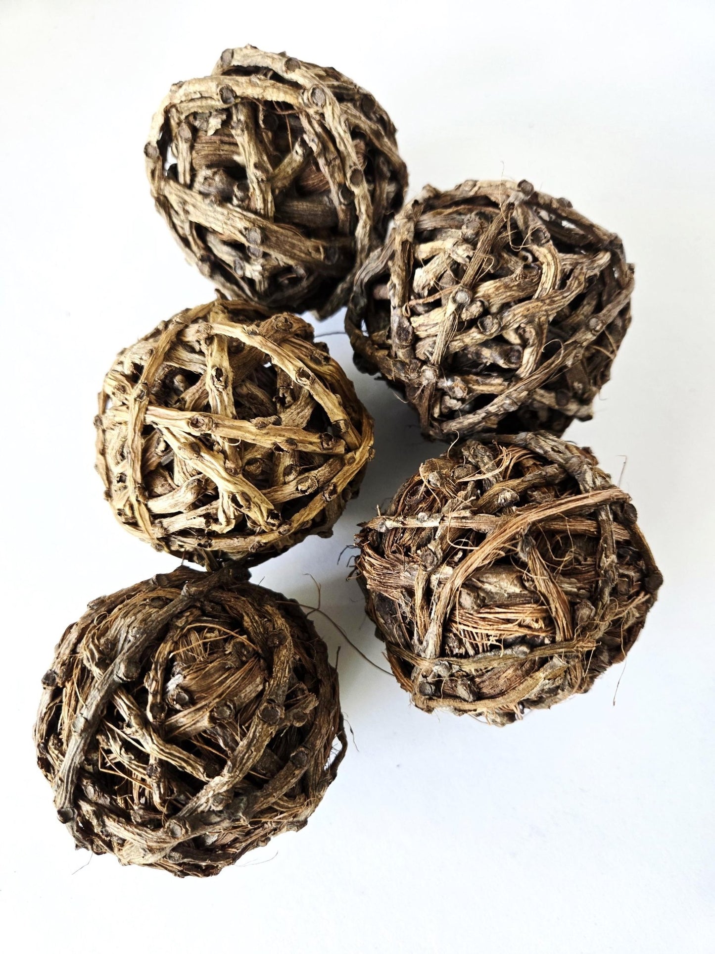 Palm Tail Ball - IHEARTBUGS, INC.