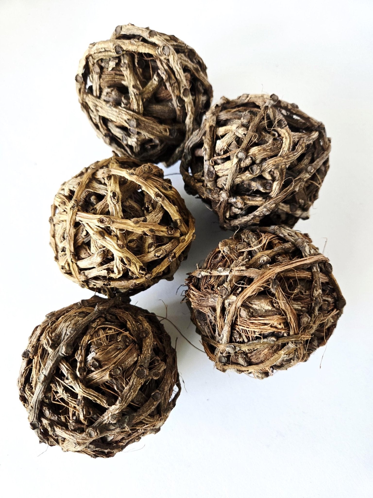 Palm Tail Ball - IHEARTBUGS, INC.