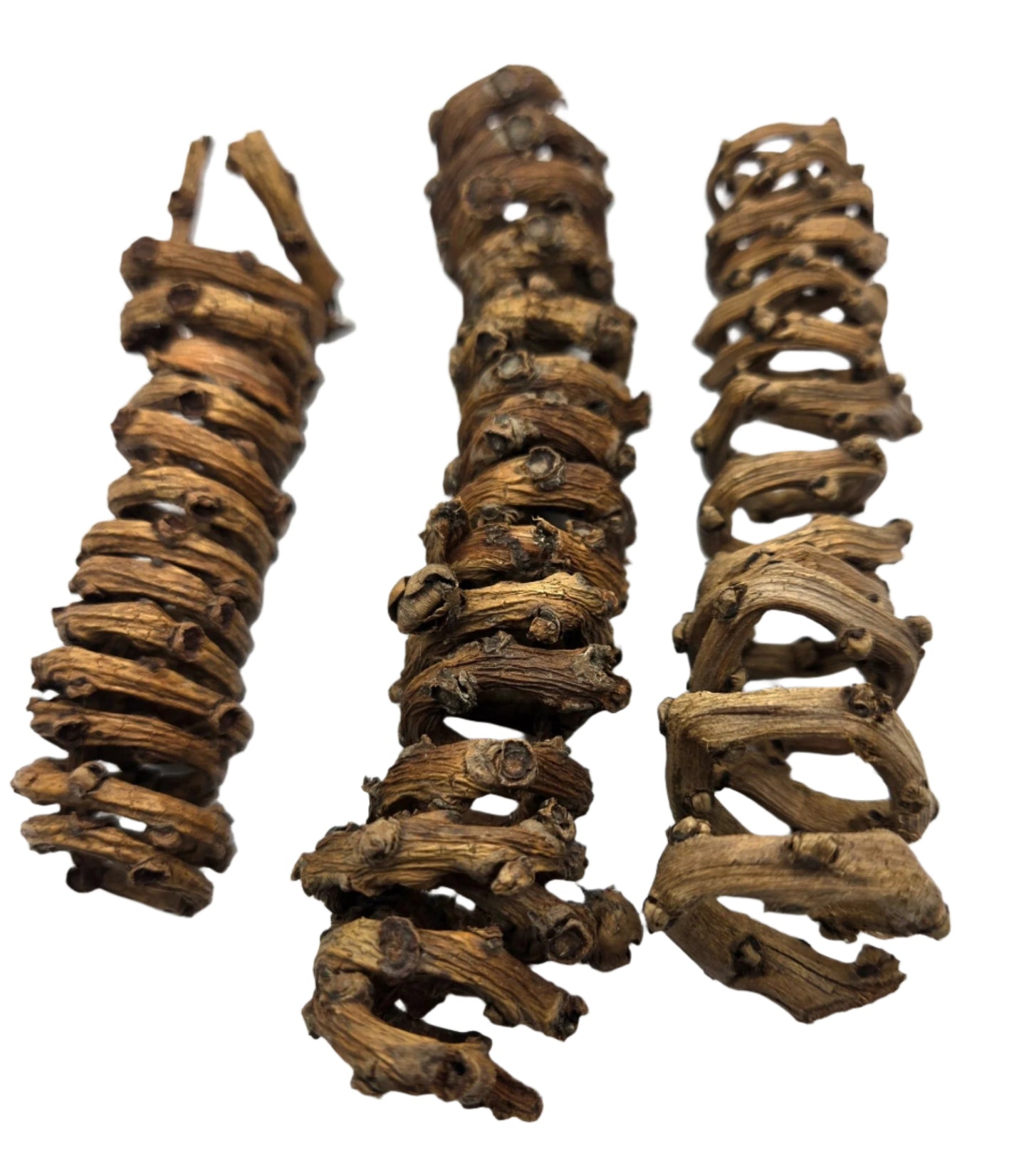 The I Heart Bugs Palm Tail Spring - 3 Count features dried, twisted woody vines with rugged brown bark and natural knots, perfect for aquarium decor. Each spiral-shaped piece is displayed vertically on a white background.