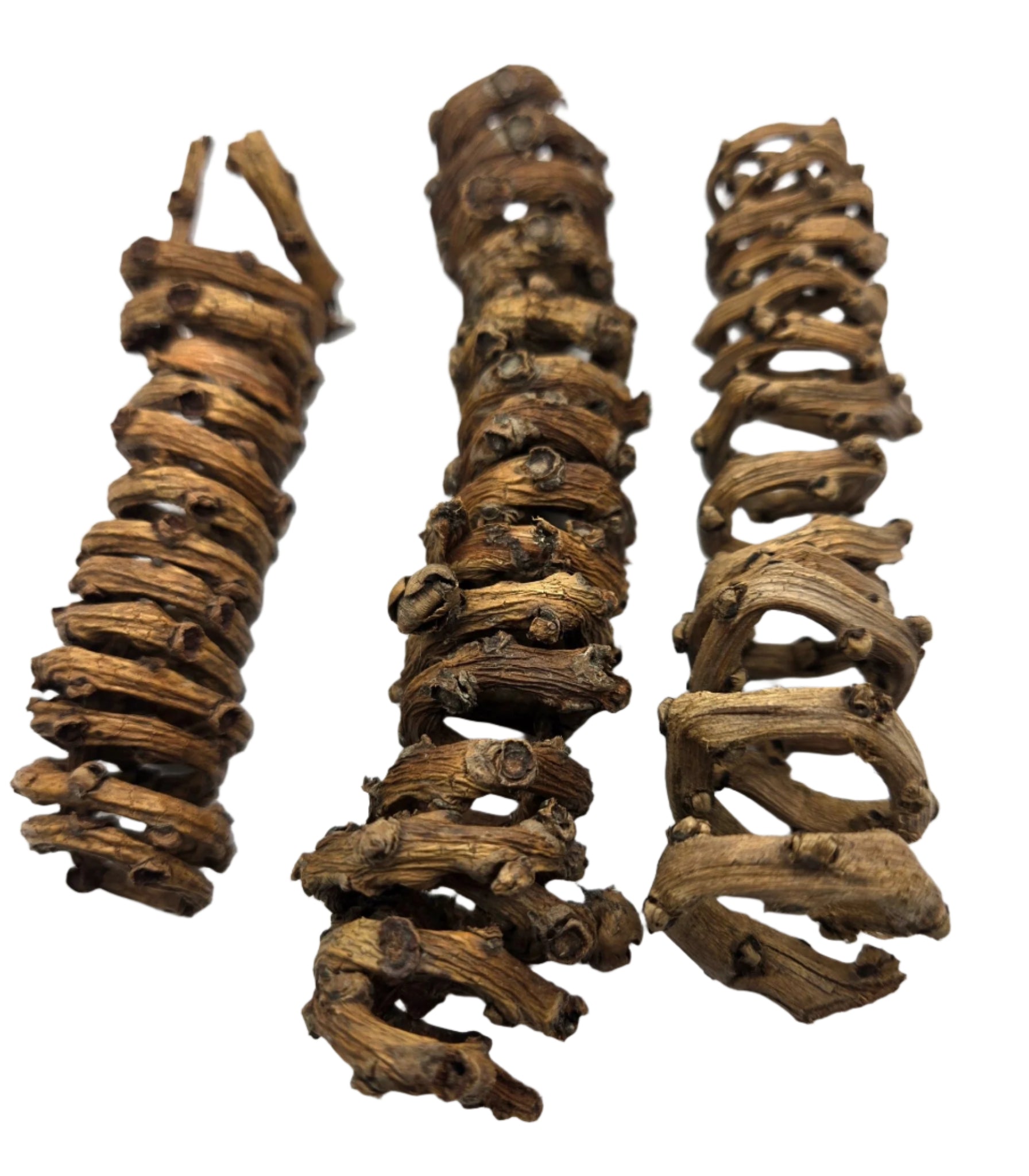 The I Heart Bugs Palm Tail Spring - 3 Count features dried, twisted woody vines with rugged brown bark and natural knots, perfect for aquarium decor. Each spiral-shaped piece is displayed vertically on a white background.