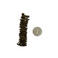 Palm Tail Spring - 3 Count - IHEARTBUGS, INC.