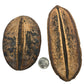 Two large, oval, brown-black mottled I Heart Bugs Para Para Pods with long vertical splits are displayed side by side on a white background beside a U.S. quarter for scale—unique, bioactive terrarium décor or aquarium botanicals.