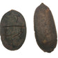 Two dark brown, oval-shaped I Heart Bugs Para Para Pods are side by side on a white background—the left one is cracked and rough, while the right is smoother—perfect for aquarium botanicals or bioactive terrarium decor.
