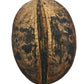 A close-up of a single, round Para Para Pod by I Heart Bugs with brown-black mottled, rough shell and vertical split, ideal as aquarium botanical or bioactive terrarium decor, isolated on white background.