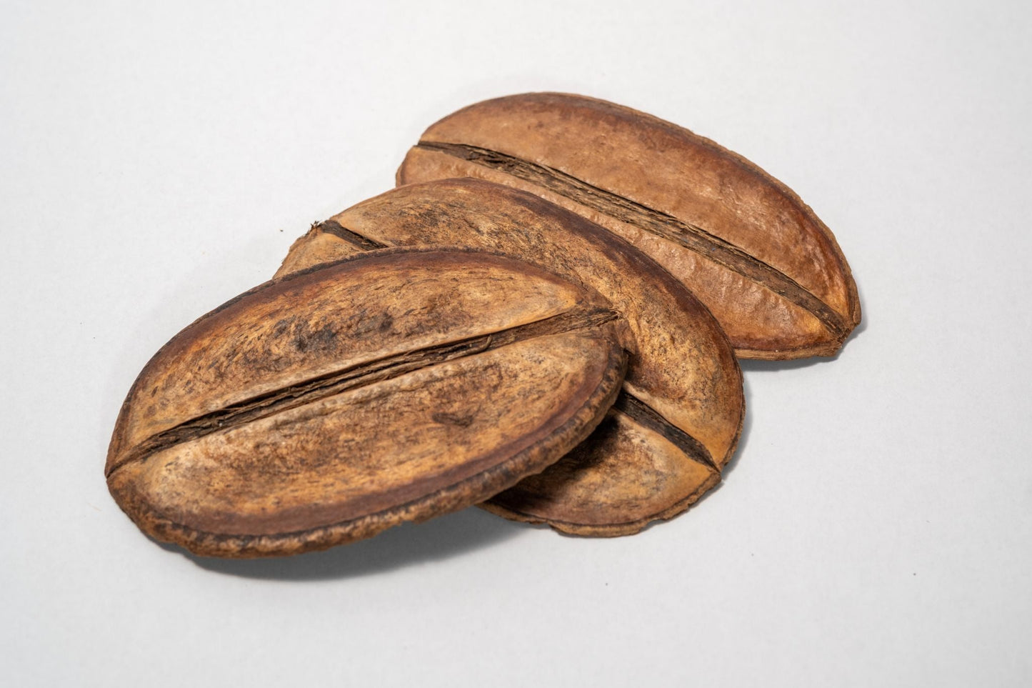 Para Para Pod - IHEARTBUGS, INC.