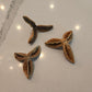 Pau Terra Estrela Seed Pods - 3 count - IHEARTBUGS, INC.