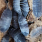 Porcellio scaber "Piebald" - IHEARTBUGS, INC.