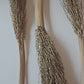 Date Palm Stalk