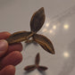 Video of seed pod uses.