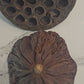 Imperfect Lotus Seed Pods