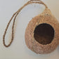 Hanging Coconut Hideout