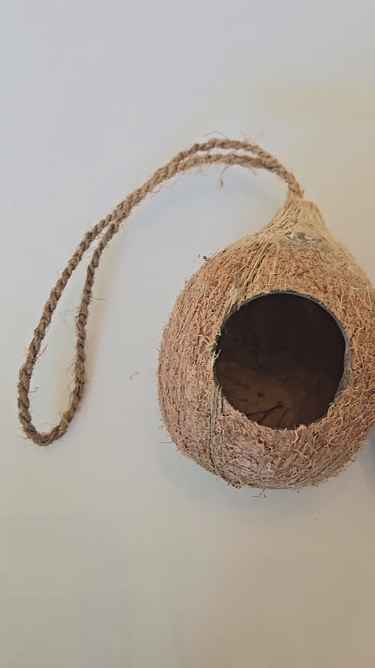 Hanging Coconut Hideout