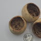 Bell Cup Pod