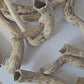Natural Dried Cabbage Roots