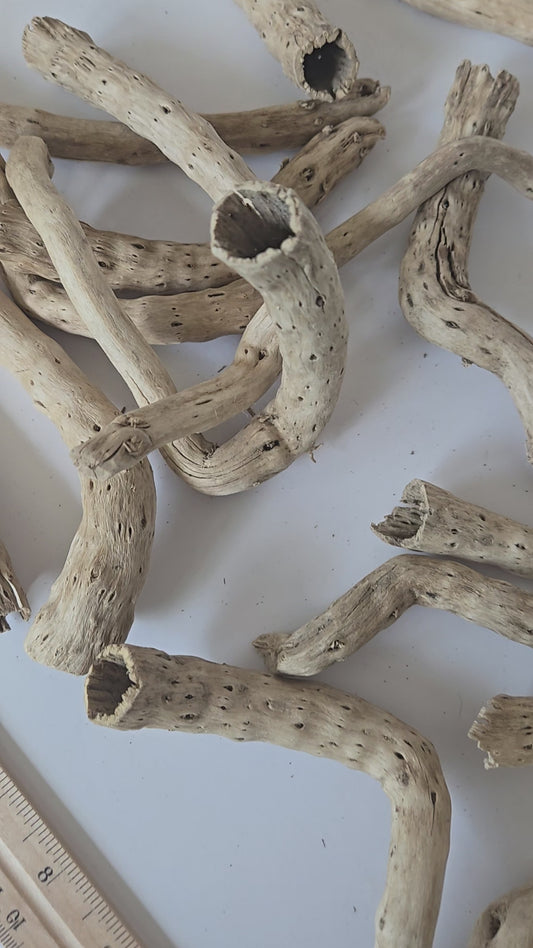 Natural Dried Cabbage Roots