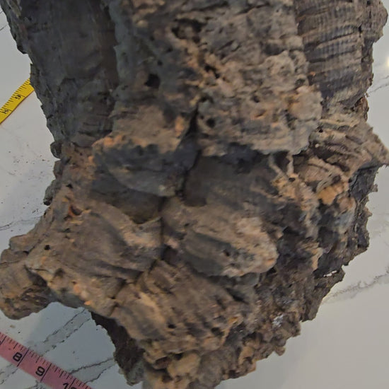 Video of cork bark round tube.