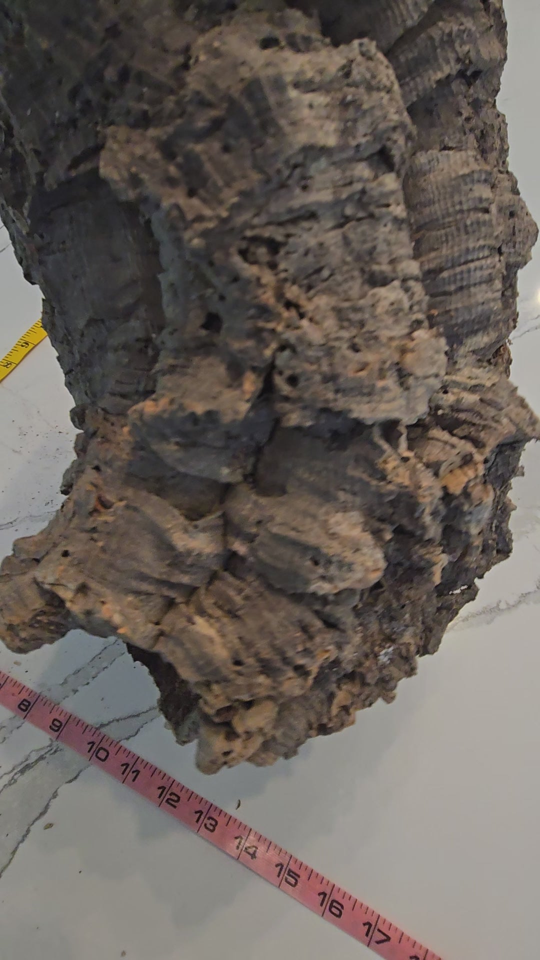 Video of cork bark round tube.