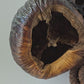 Large Seed Pod Pack
