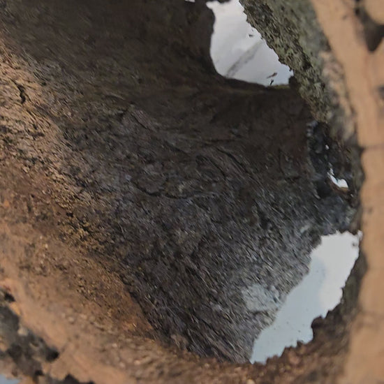 Cork bark round tube video.