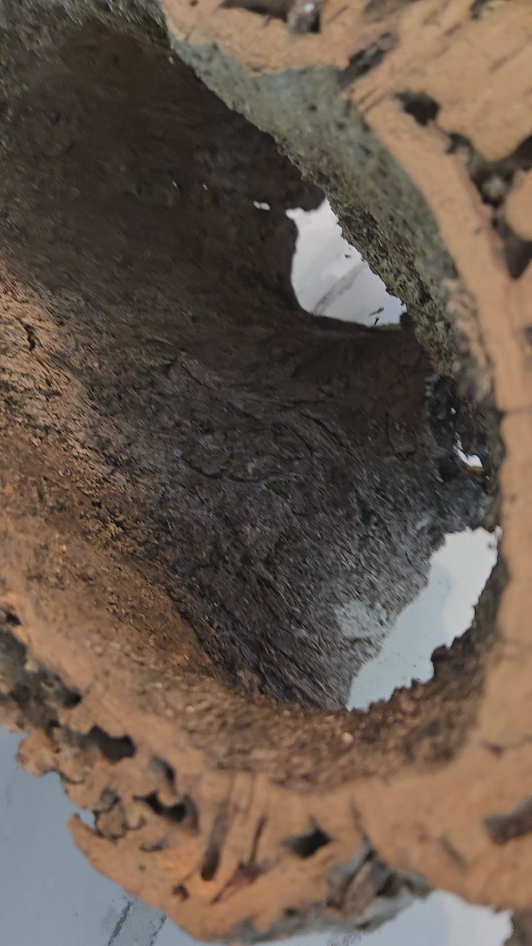 Cork bark round tube video.