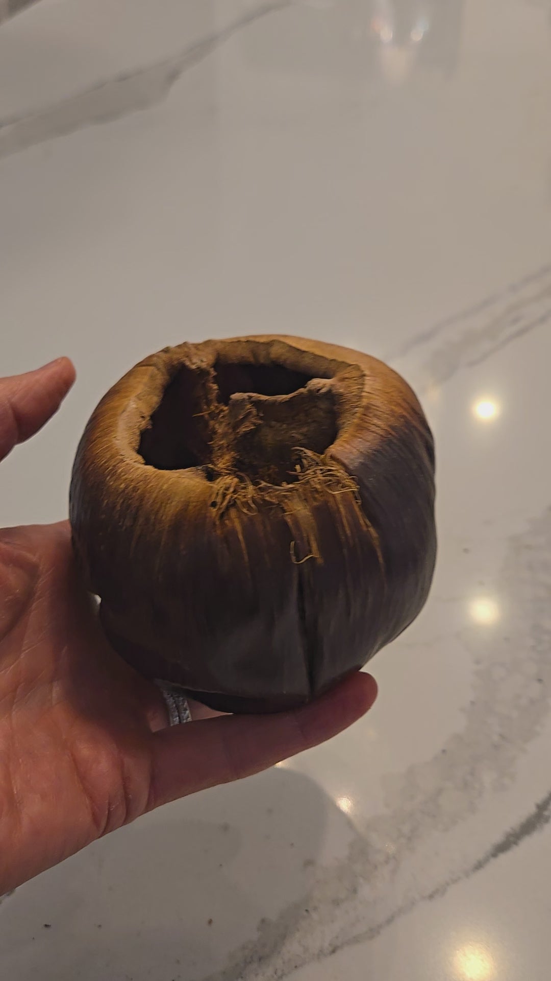 Video of the stunning functional Talami pod.