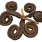 Five brown Rams Horn Seed Pods by I Heart Bugs are arranged in a circle on a white background, ideal for aquarium decoration or bioactive terrariums. A straight brown stick lies across the center, partially overlapping the textured pods.