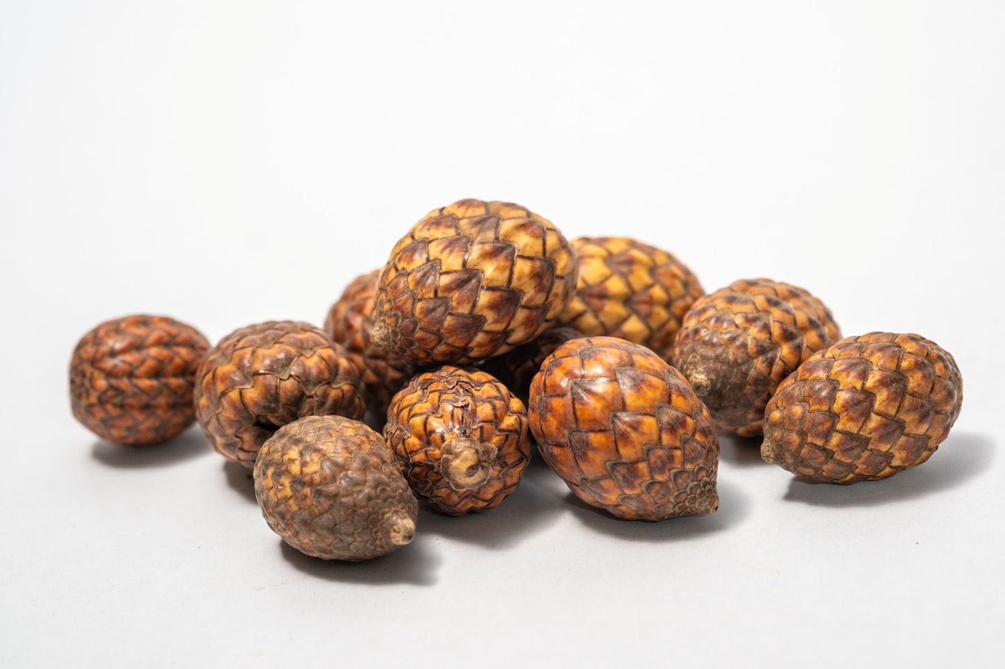 Rattan Cane Fruit Pods - 3 Count - IHEARTBUGS, INC.