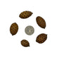 Rattan Cane Fruit Pods - 3 Count - IHEARTBUGS, INC.