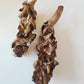 Two brown, textured Palm Blossom Stalk clusters from I Heart Bugs grow from short, thick stems and are displayed on a white background. The wavy, layered caps have a dried, curled appearance, creating an intricate, organic pattern on each cluster—perfect as a natural accent for a bioactive enclosure or blackwater aquarium, where their unique form evokes the twisted charm of palm blossom stalks.