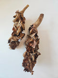 Two brown, textured Palm Blossom Stalk clusters from I Heart Bugs grow from short, thick stems and are displayed on a white background. The wavy, layered caps have a dried, curled appearance, creating an intricate, organic pattern on each cluster—perfect as a natural accent for a bioactive enclosure or blackwater aquarium, where their unique form evokes the twisted charm of palm blossom stalks.