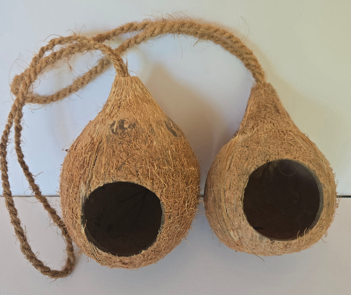 The Hanging Coconut Hideout by IHEARTBUGS, INC. features two hollowed coconut shells joined by a thick, braided rope, forming an inviting hideaway. Each shell displays a wide circular opening facing forward, with their rough, fibrous surfaces and natural brown tones standing out against a plain, light background.