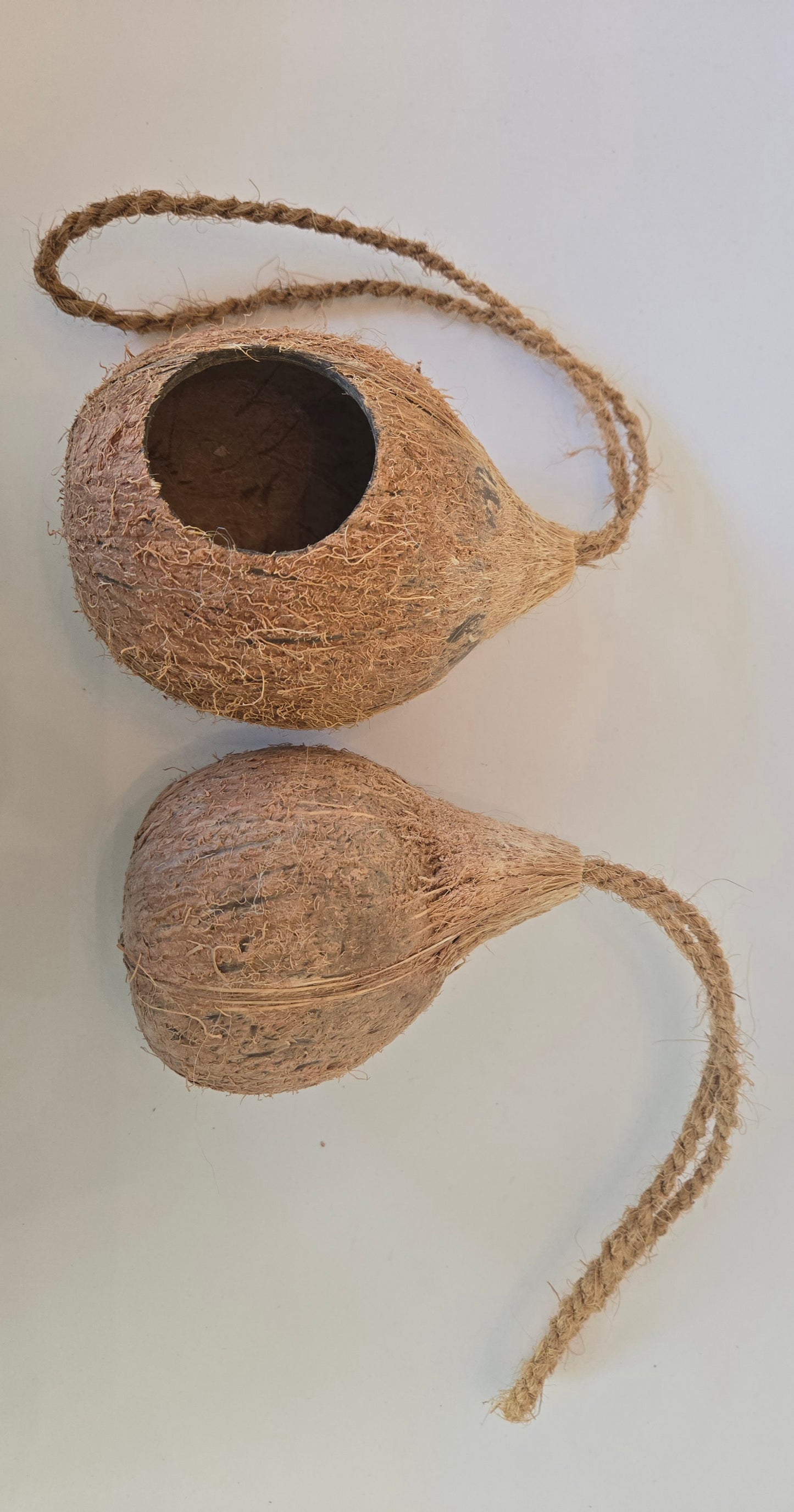 Two brown Hanging Coconut Hideouts from IHEARTBUGS, INC.—each featuring natural fibers and a twisted rope handle—rest on a white surface; one hideout is whole, the other is halved with an open top, making them perfect as natural shelters or cozy hideouts for small pets.