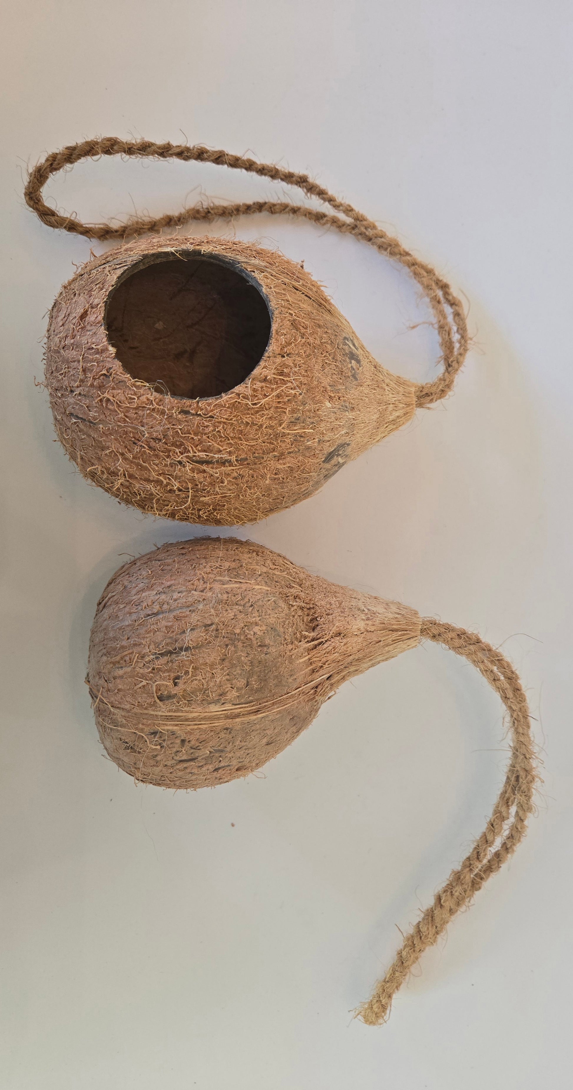 Two brown Hanging Coconut Hideouts from IHEARTBUGS, INC.—each featuring natural fibers and a twisted rope handle—rest on a white surface; one hideout is whole, the other is halved with an open top, making them perfect as natural shelters or cozy hideouts for small pets.