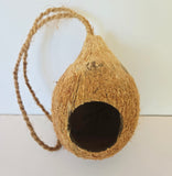 The IHEARTBUGS, INC. Hanging Coconut Hideout features a hollowed brown coconut shell with a large circular opening and an upright design. A sturdy, twisted rope loop is attached to the top for easy hanging. Its textured, fibrous surface in light and dark brown shades makes this natural habitat perfect as a hideout for pets or small wildlife.