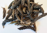 A collection of Fusilli Twisty Pods by I Heart Bugs, featuring dried pods with a spiral shape, brownish-green color, and rough texture, are scattered on a white background—ideal for adding unique decoration to aquariums.