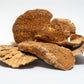Sponge Mushroom Caps - IHEARTBUGS, INC.