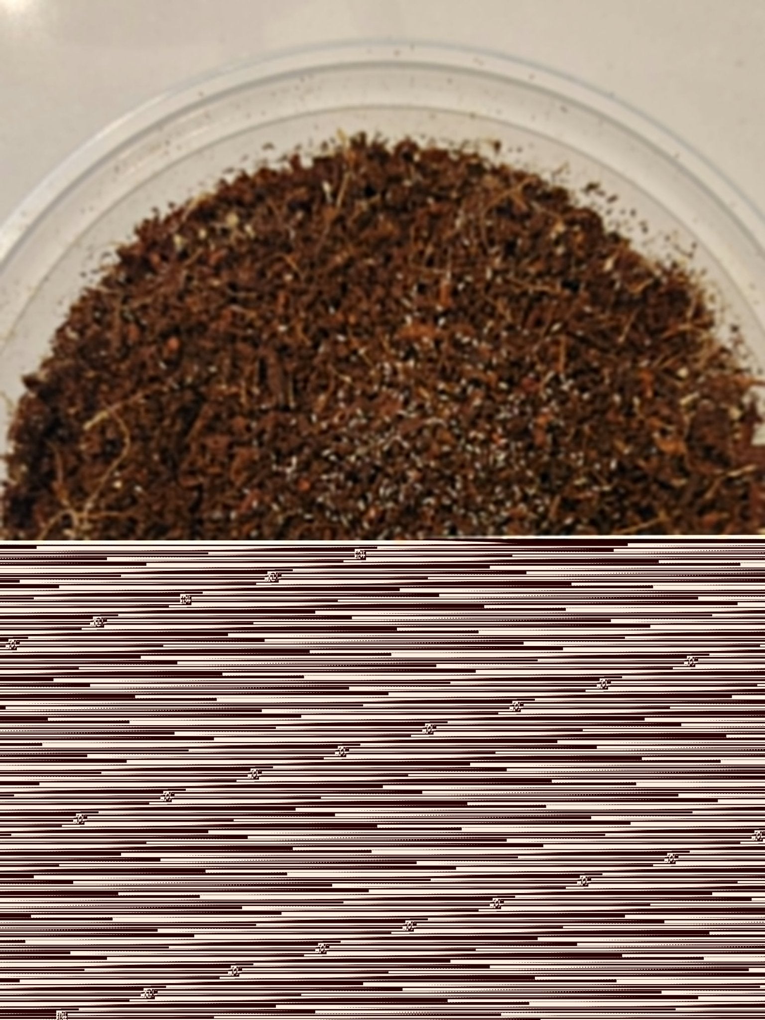 *SPRINGTAILS* Mixed culture of humid springtails *EXCELLENT FOR HUMID BIOACTIVE ENCLOSURES* - IHEARTBUGS, INC.