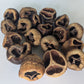 Talami Pods - IHEARTBUGS, INC.