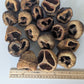 Talami Pods - IHEARTBUGS, INC.