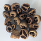 Talami Pods - IHEARTBUGS, INC.