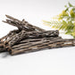 Thin Cholla Wood (One Piece) - IHEARTBUGS, INC.