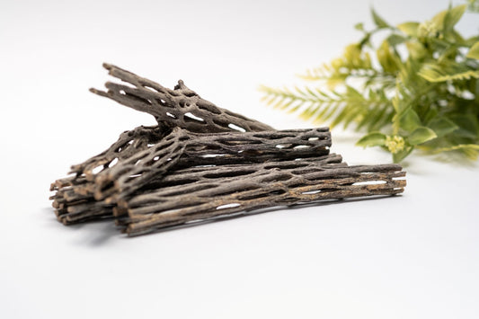 Thin Cholla Wood (One Piece) - IHEARTBUGS, INC.
