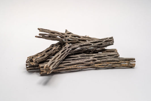 Thin Cholla Wood (One Piece) - IHEARTBUGS, INC.
